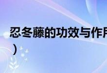 忍冬藤的功效与作用（忍冬藤有什么功效作用）