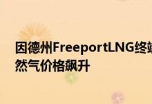 因德州FreeportLNG终端约三个月后才能部分重启欧洲天然气价格飙升