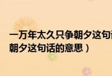 一万年太久只争朝夕这句话的意思是什么（一万年太久只争朝夕这句话的意思）