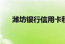 潍坊银行信用卡积分累积有什么规则？