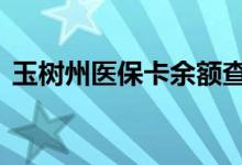 玉树州医保卡余额查询 玉树州医疗保险查询