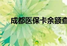 成都医保卡余额查询 成都医疗保险查询