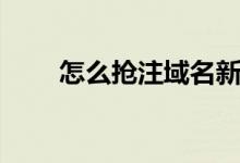 怎么抢注域名新网（怎么抢注域名）