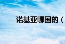 诺基亚哪国的（诺基亚哪国的公司）