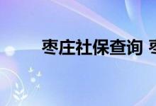 枣庄社保查询 枣庄个人社保卡查询