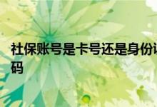 社保账号是卡号还是身份证号 社保账号忘记密码怎么找回密码 