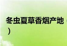 冬虫夏草香烟产地（该款香烟有几款价格多少）