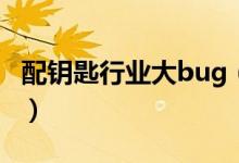 配钥匙行业大bug（网上看照片配钥匙安全吗）