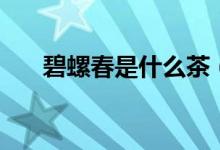 碧螺春是什么茶（碧螺春属于哪种茶）