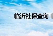 临沂社保查询 临沂个人社保卡查询