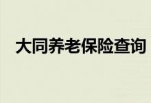 大同养老保险查询 大同个人养老保险查询