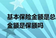 基本保险金额是总数还是每年交的 基本保险金额是保额吗