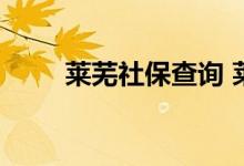 莱芜社保查询 莱芜个人社保卡查询