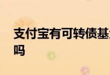 支付宝有可转债基金吗 支付宝有可转债基金吗
