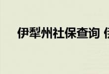 伊犁州社保查询 伊犁州个人社保卡查询