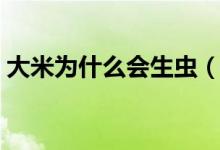 大米为什么会生虫（大米为什么会生小白虫）