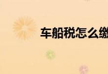 车船税怎么缴纳 车船税怎么交