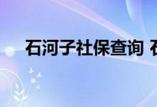 石河子社保查询 石河子个人社保卡查询