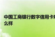 中国工商银行数字信用卡哪个好 请问工商银行数字信用卡怎么样