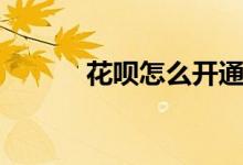 花呗怎么开通（花呗怎么开通）
