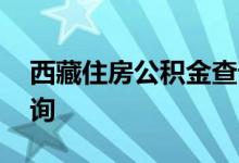 西藏住房公积金查询 西藏个人住房公积金查询