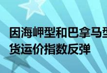 因海岬型和巴拿马型船运费上涨波罗的海干散货运价指数反弹