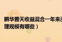鹏华普天收益混合一年来涨了多少（2020年基金所属公司管理规模有哪些）