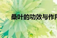 桑叶的功效与作用（桑叶有什么功效）