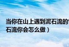 当你在山上遇到泥石流的情况下应该怎么做（当山上遇到泥石流你会怎么做）