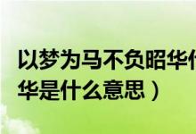 以梦为马不负昭华什么意思（以梦为马不负昭华是什么意思）