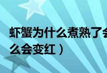 虾蟹为什么煮熟了会变红（煮熟了的虾蟹为什么会变红）