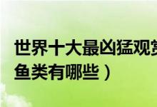 世界十大最凶猛观赏鱼排行榜（最凶悍的观赏鱼类有哪些）