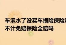 车泡水了没买车损险保险赔吗 车子泡水到车顶买了车损险和不计免赔保险全赔吗