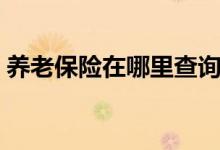 养老保险在哪里查询缴费记录 哪里可以缴费 