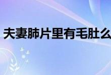 夫妻肺片里有毛肚么（夫妻肺片里有肺片吗）