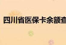 四川省医保卡余额查询 四川省医疗保险查询