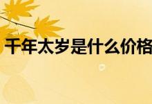 千年太岁是什么价格（千年太岁是什么东西）