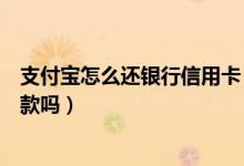 支付宝怎么还银行信用卡（宁波银行信用卡可以用支付宝还款吗）