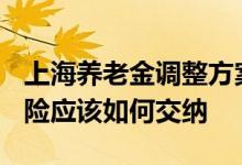 上海养老金调整方案2022年最新消息 养老保险应该如何交纳 