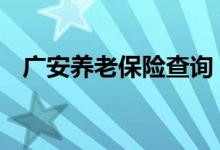 广安养老保险查询 广安个人养老保险查询