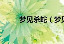 梦见杀蛇（梦见杀蛇是什么意思）