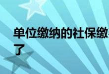 单位缴纳的社保缴费比例是多少 钱到哪里去了 