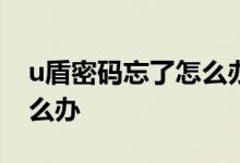 u盾密码忘了怎么办没带u盾 U盾密码忘了怎么办
