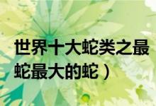 世界十大蛇类之最（蛇类十大世界纪录最毒的蛇最大的蛇）