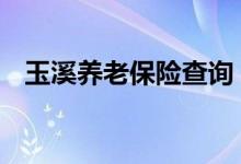 玉溪养老保险查询 玉溪个人养老保险查询