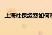 上海社保缴费如何查询 需要缴纳多长时间 