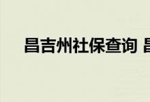 昌吉州社保查询 昌吉州个人社保卡查询