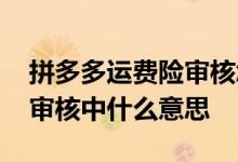 拼多多运费险审核怎么秒通过 拼多多运费险审核中什么意思