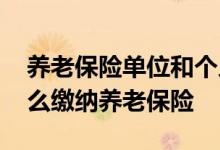 养老保险单位和个人缴费比例是多少 个人怎么缴纳养老保险 