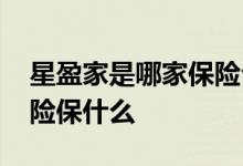星盈家是哪家保险公司的产品 星盈家两全保险保什么